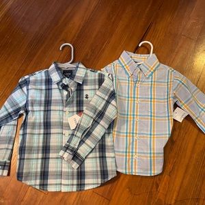 Bundle: Crown & Ivy and IZOD dress shirts